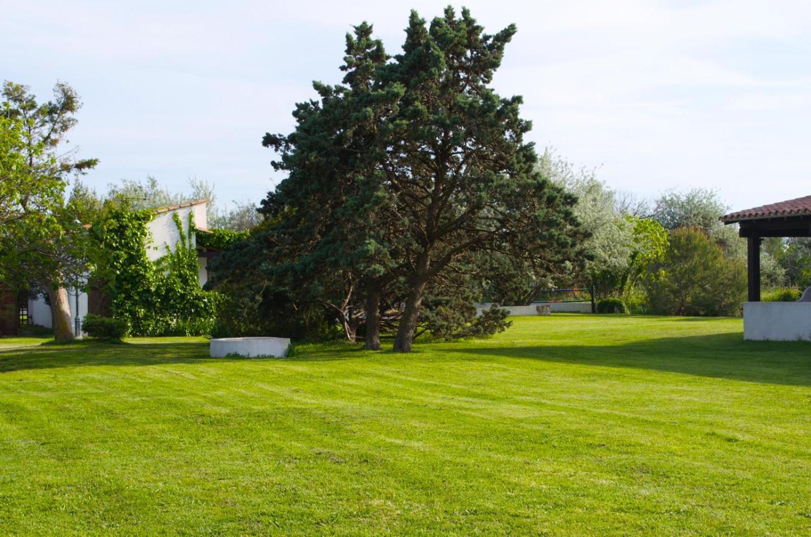 Mas Mls Saintes-Maries-de-la-Mer Exterior foto